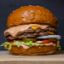 Hamburguesa especial de la casa
